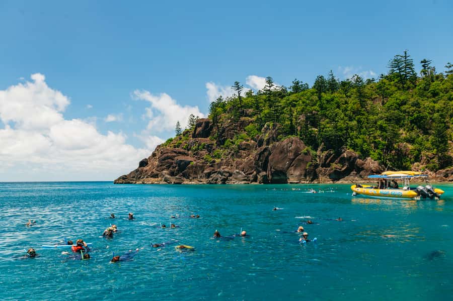 Airlie Beach: Snorkel, Hill Inlet Lookout & Whitehaven Beach - Snorkeling is well supported for first-timers