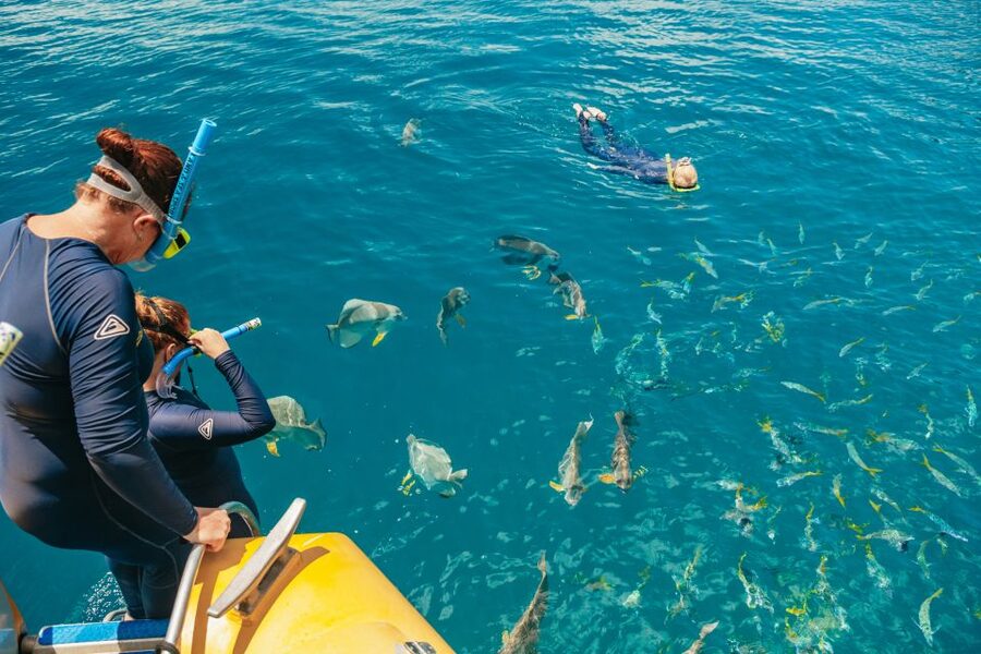 Airlie Beach: Snorkel, Hill Inlet Lookout & Whitehaven Beach - Is AUD $147 good value?