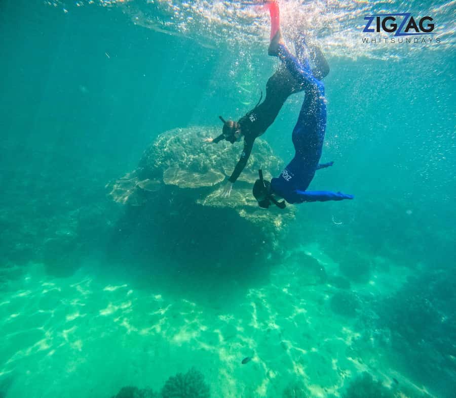 Airlie Beach: Whitehaven Beach Day Tour with Snorkel Option - Meeting the Super Flyer at Coral Sea Marina