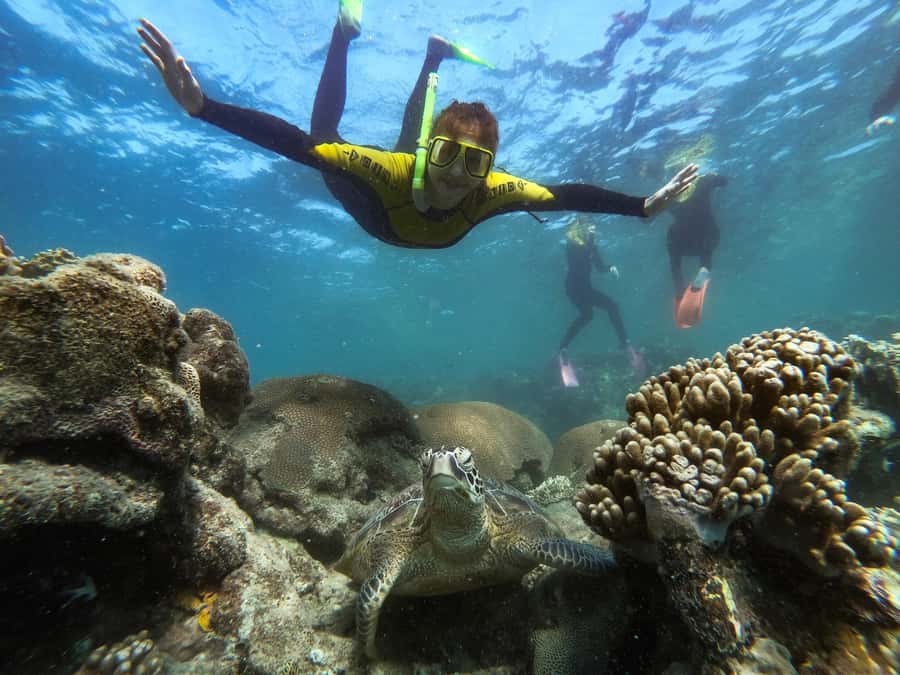 Airlie Beach: Whitsunday Islands Sailing, SUP & Snorkel Tour - Snorkelling near Hook Island and Hayman Island