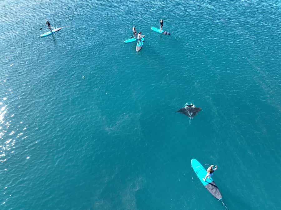 Airlie Beach: Whitsunday Islands Sailing, SUP & Snorkel Tour - What the $162 price really buys