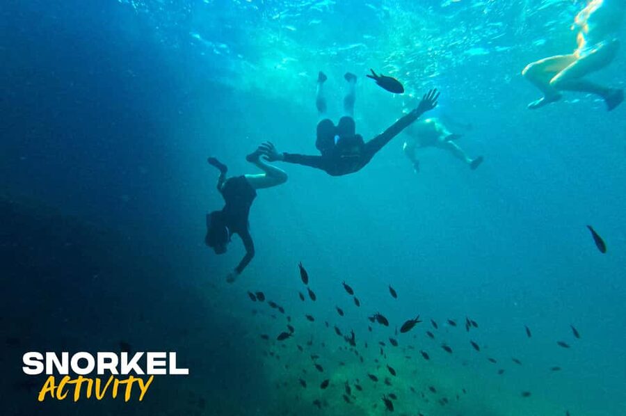 Alcudia: Kayak Tour with Snorkel & Sea Cave Swim - Starting at Camí Vell de la Victòria, 86A