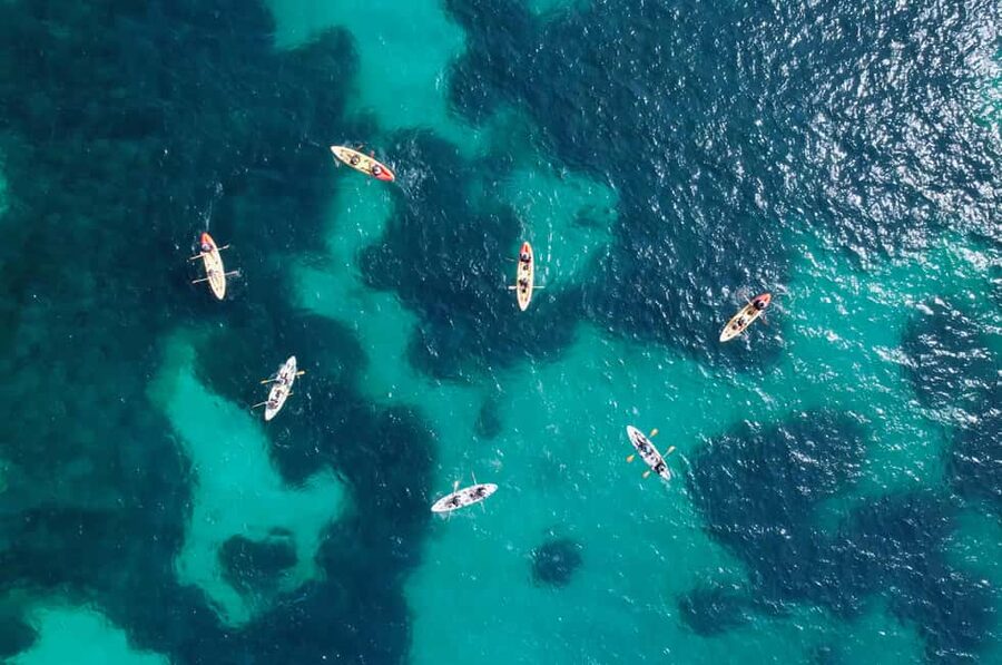 Alcudia: Kayak Tour with Snorkel & Sea Cave Swim - Why the guides matter so much