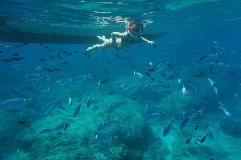 Alcudia: Sea Caves Coves and Snorkeling in small groups - Cap Ferrutx brings the cliffs and the big cave