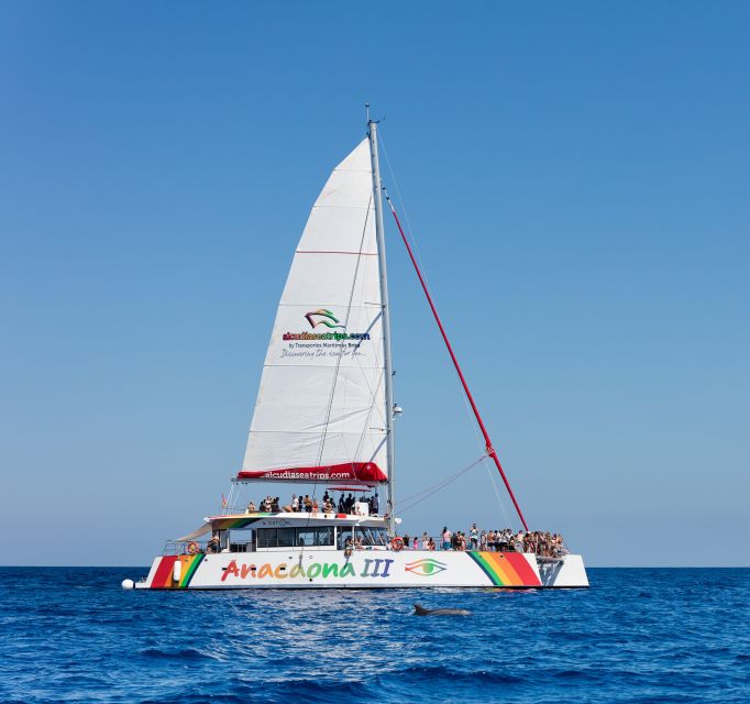 Alcudia: Sunset Catamaran Tour with Dinner and Snorkeling - Should you book the Alcudia sunset catamaran?