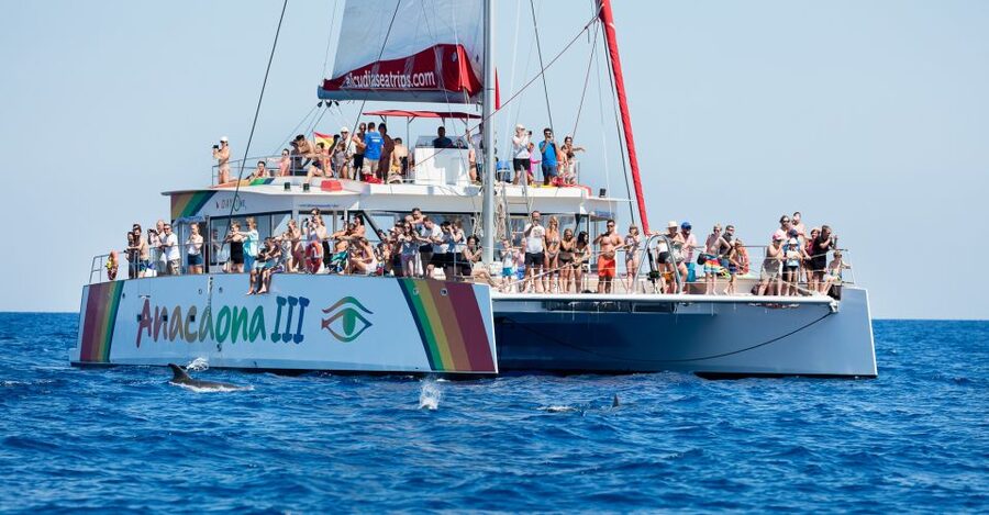 Alcudia: Sunset Catamaran Tour with Dinner and Snorkeling - The quiet cove and the long water stop