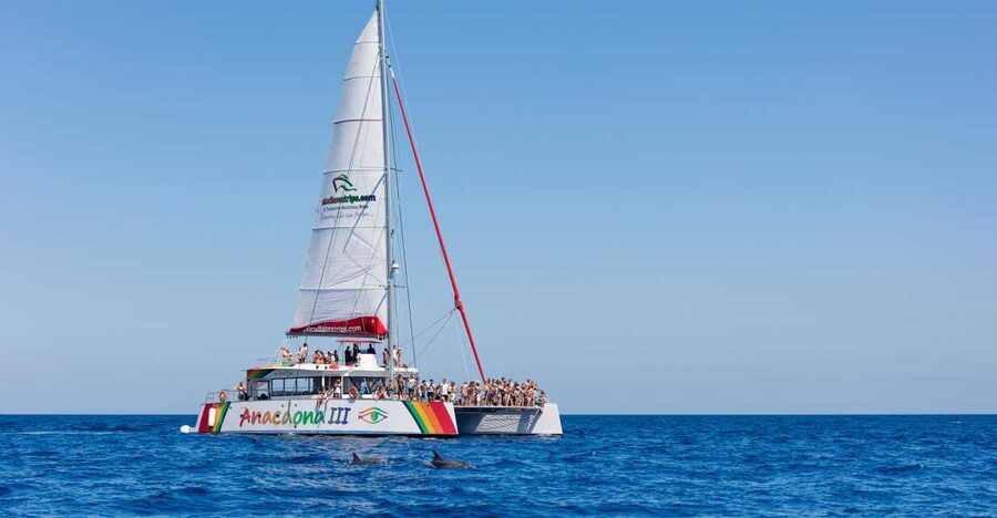 Alcudia: Sunset Catamaran Tour with Dinner and Snorkeling - Sailing north from Alcudia