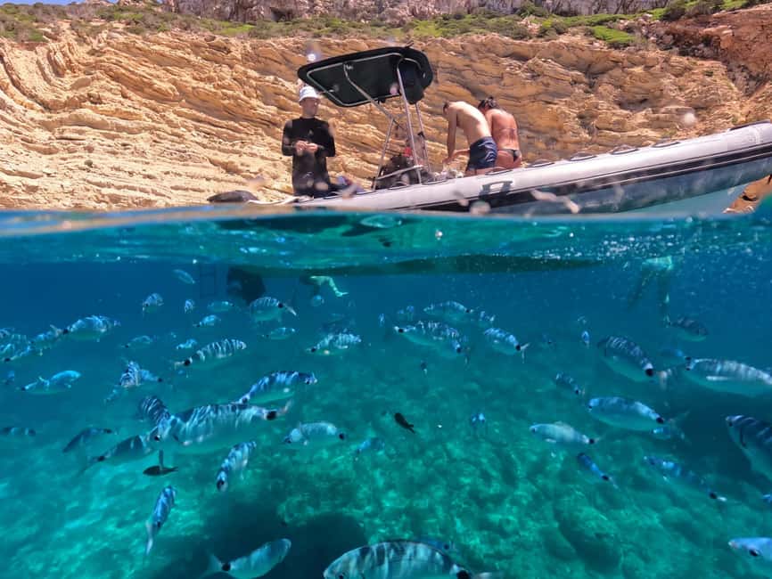 Alghero: Boat Tour and Snorkeling with Aperitif Porto Conte - Key points at a glance