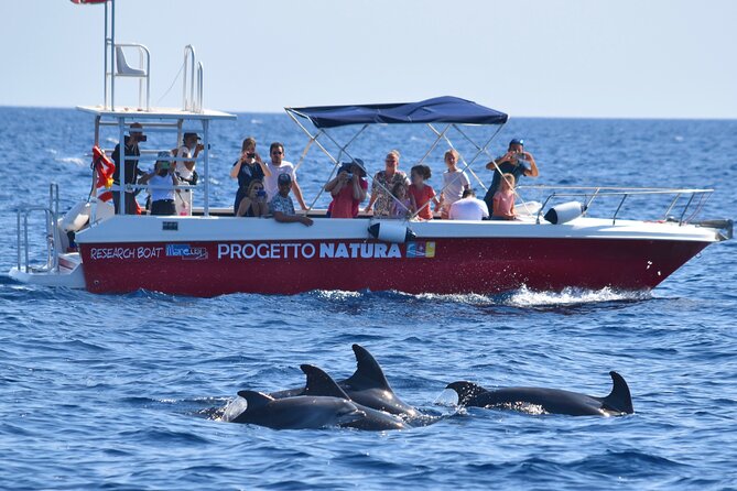 Alghero - Dolphin Watching and Guided Snorkeling (summer tour) - The Crew and the Conservation Message