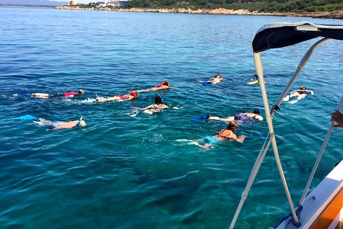 Alghero - Dolphin Watching and Guided Snorkeling (summer tour) - Weather, Safety, and Cancellation Details