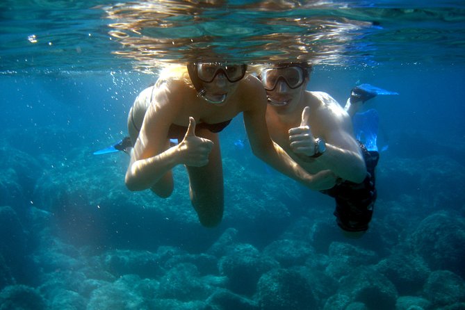 Alghero - Dolphin Watching and Guided Snorkeling (summer tour) - The Meeting Point and Four-Hour Schedule