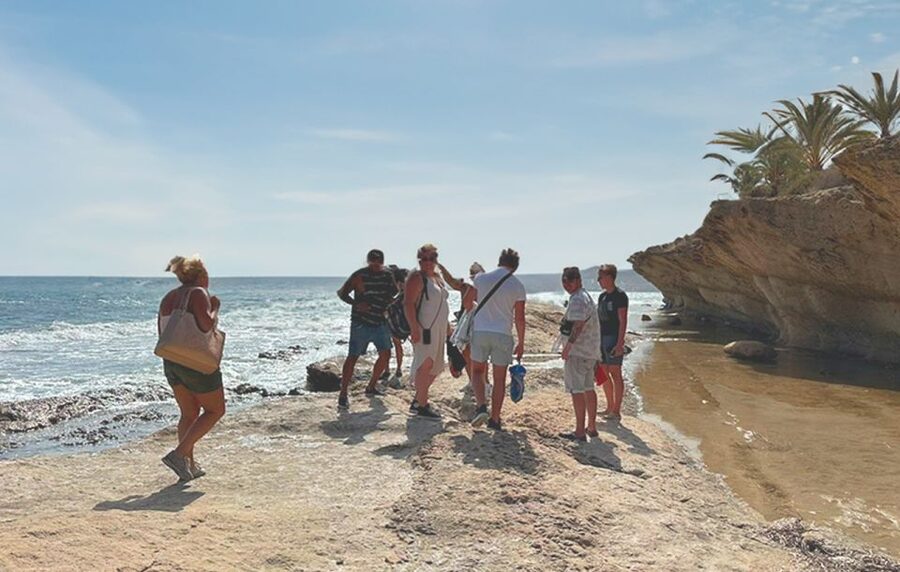 Alicante : E-Bike Coast Tour, Roman Fish Farm and Snorkeling - Price, timing, and what you receive