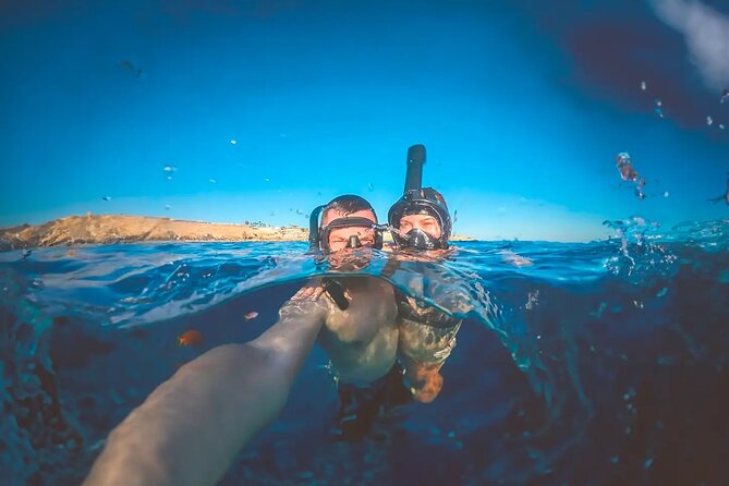 Alicante E-Bike Coast Tour with Román Fishpond and Snorkeling - Why an e-bike is a smart way to see Alicante’s shore