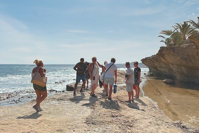 Alicante E-Bike Coast Tour with Román Fishpond and Snorkeling - What the $42.15 price includes