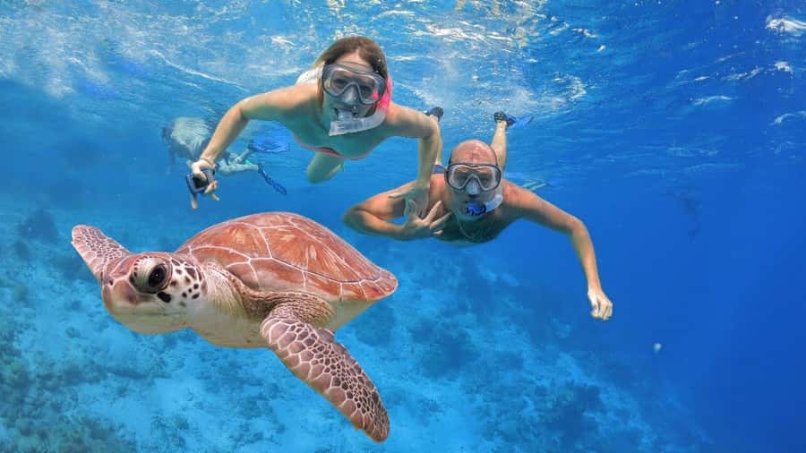 All Include Snorkeling at Menjangan Island - Why Menjangan Island makes a good snorkeling day