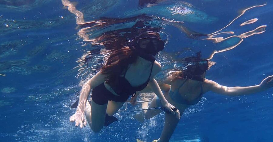 All Include Snorkeling Menjangan Island - The guide and pace