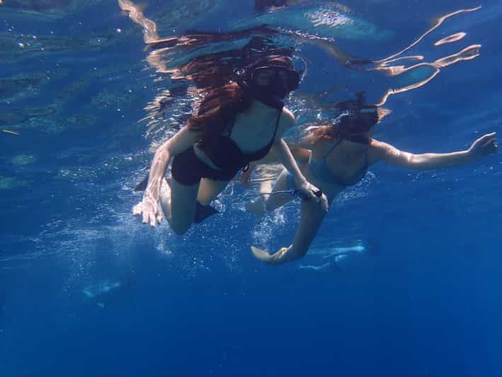 All Include Snorkeling Menjangan Island - Who will enjoy this most