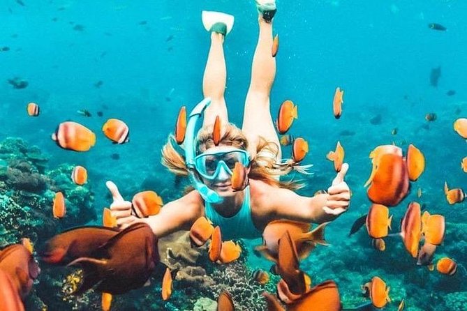 All Inclusive : Bali Blue Lagoon Snorkeling, Lunch, and Transport - Why Blue Lagoon works for a first snorkeling trip