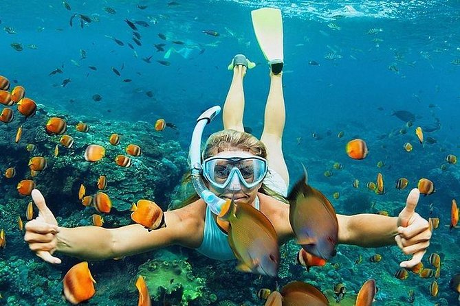All Inclusive : Bali Blue Lagoon Snorkeling, Lunch, and Transport - The private car is a major part of the value