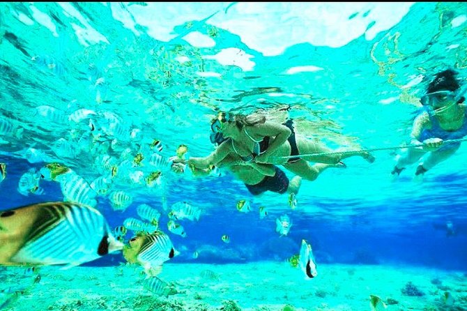 All Inclusive : Bali Blue Lagoon Snorkeling, Lunch, and Transport - How long the six-hour format feels