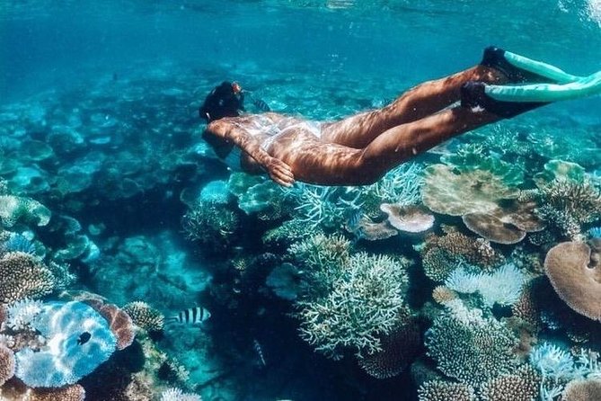 All Inclusive : Bali Blue Lagoon Snorkeling, Lunch, and Transport - Tanjung Jepun adds a second view below the surface