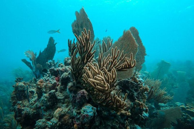 All Inclusive Beach and Snorkel Boat Tour to Icacos Island - A homemade lunch and a steady stream of drinks