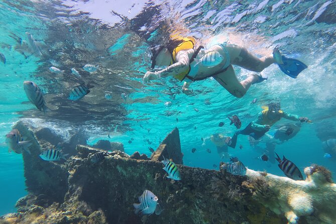All-Inclusive Isla Mujeres Catamaran with Free Transportation - The ride back to Cancun