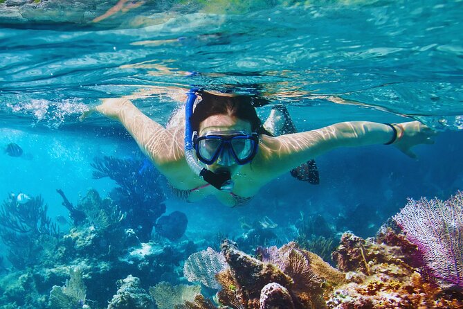 Amalfi Coast Snorkeling and Limoncello Tasting: 4h Boat Tour - Conca dei Marini: a short stop for swimming