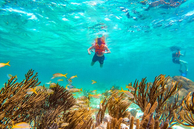 Amazing Snorkeling Experience + Real Mexican Tacos - Guides who shape the experience