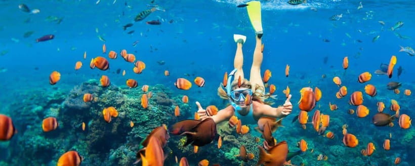 Amed: Snorkeling Tour with Japanese Shipwreck and Coral … - Starting at Amed Beach and Pyramid