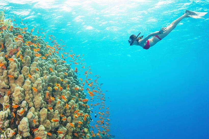 Amed: Snorkeling Tour with Japanese Shipwreck and Coral … - Jemeluk Beach and the Sunken Temple