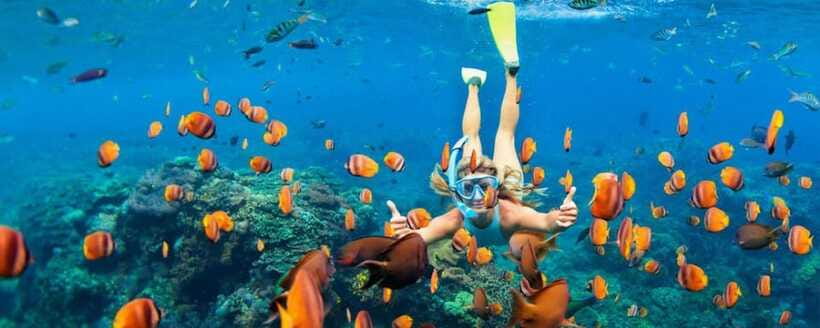 Amed: Snorkeling Tour with Japanese Shipwreck and Coral … - Selang Beach Coral Garden as the Final Stop
