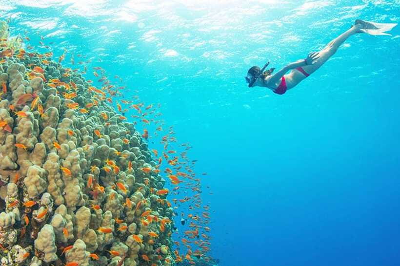 Amed: Snorkeling Tour with Japanese Shipwreck and Coral … - What Two Hours Really Gives You