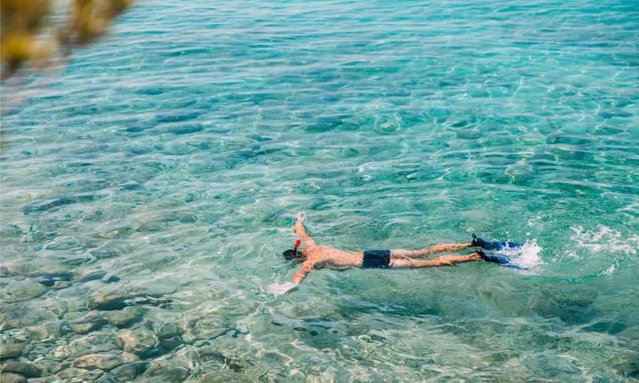 Amed: Snorkeling Trip to the Japanese Shipwreck - Key points at a glance