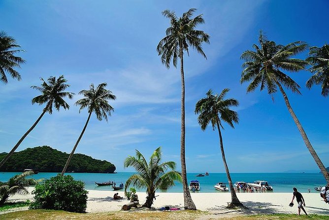 Angthong National Marine Park by Speed Boat with Snorkeling & Kayaking - Koh Mae Koh and the Emerald Green Lagoon