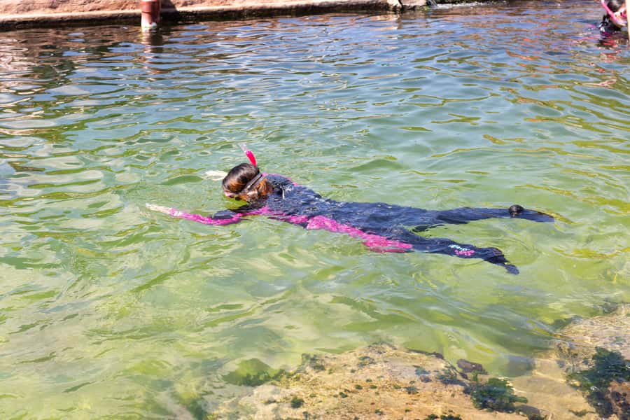 Anna Bay: Irukandji Entry Pass with Reef Shark Snorkel - The safety briefing before you enter