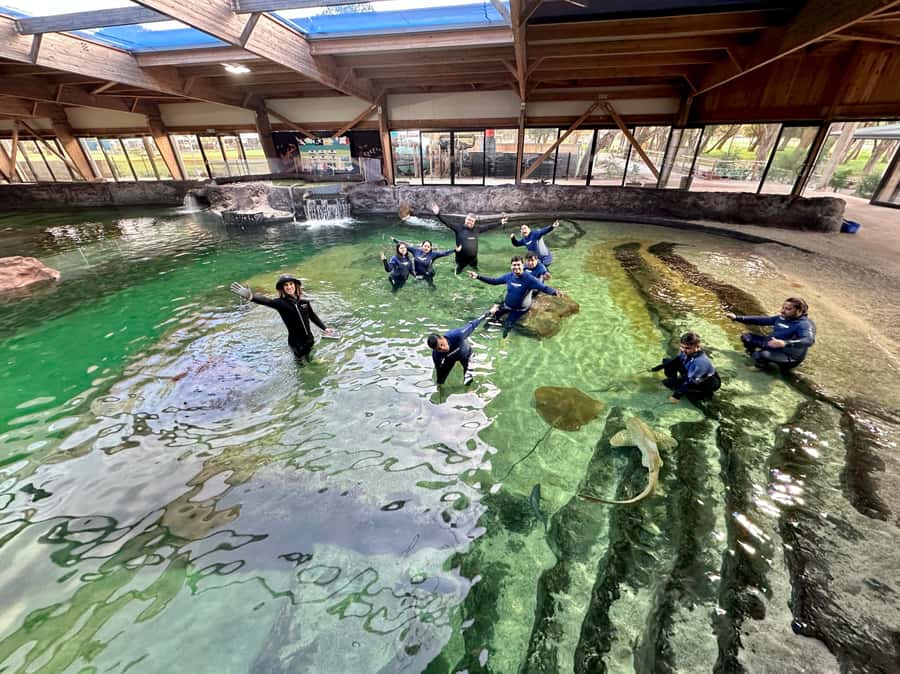 Anna Bay: Irukandji Entry with Zebra Shark Snorkel - Why the shallow lagoons are worth your time