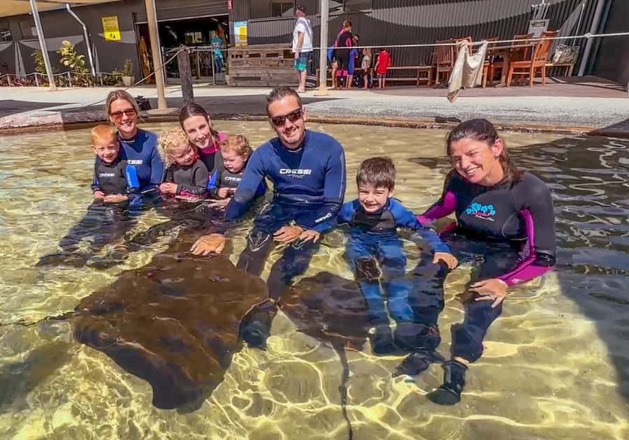 Anna Bay: Irukandji Entry with Zebra Shark Snorkel - Who will enjoy this most