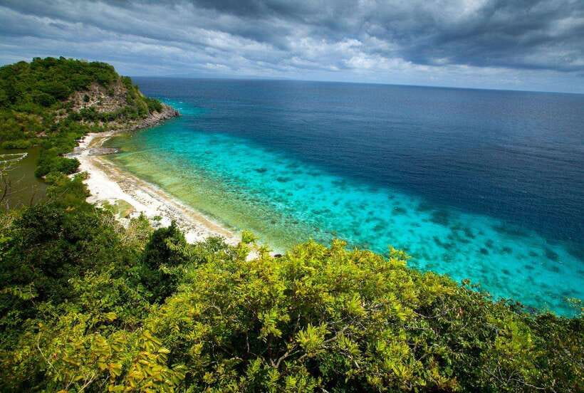 Apo Island Wonders: Snorkel with Sea Turtles in Dumaguete - Key points before you book