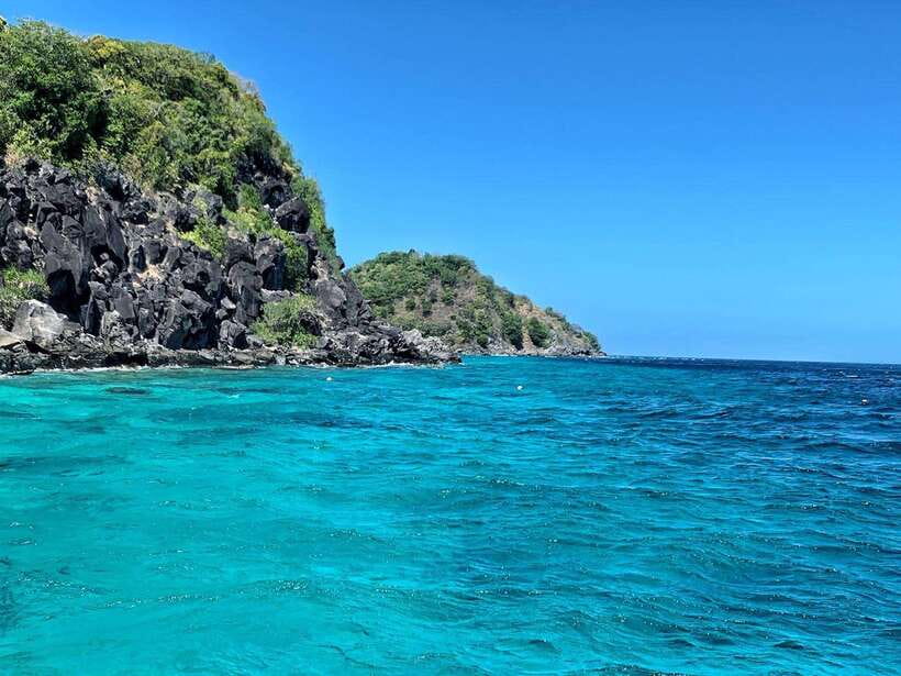 Apo Island Wonders: Snorkel with Sea Turtles in Dumaguete - The turtle snorkeling session, about three hours