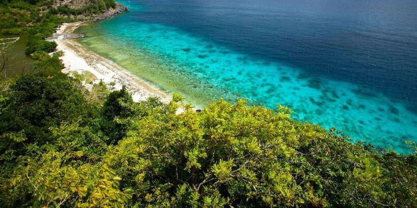 Apo Island Wonders: Snorkel with Sea Turtles in Dumaguete - The confusing scuba option