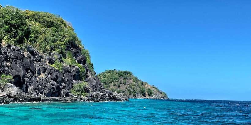 Apo Island Wonders: Snorkel with Sea Turtles in Dumaguete - Who will enjoy this tour most