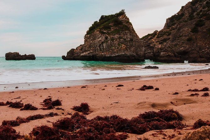 Arrábida Secret Beaches and Caves with Snorkeling Stop - The boat matters more than the brochure