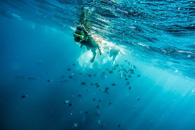 Aruba Afternoon Snorkel Sail aboard Palm Pleasure Catamaran - The Antilla wreck, Aruba’s most memorable snorkel stop