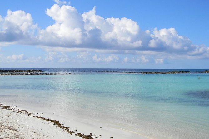 Aruba Mangel Halto and Baby Beach Snorkeling Guided Tour - Two Aruba beaches, one easy half-day trip
