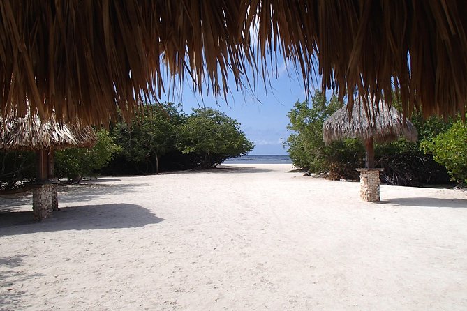 Aruba Mangel Halto and Baby Beach Snorkeling Guided Tour - The open-air bus adds sightseeing, with a few tradeoffs