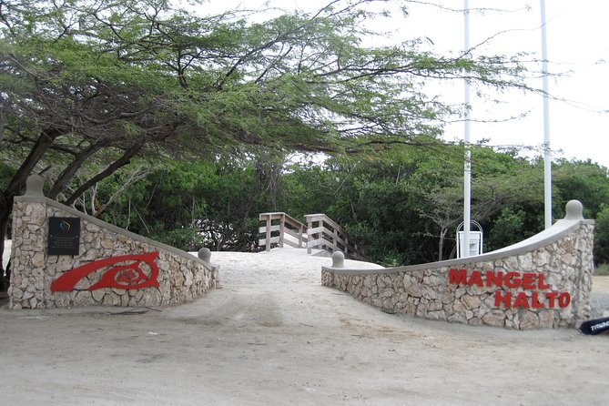 Aruba Mangel Halto and Baby Beach Snorkeling Guided Tour - Is $57 a good price for this Aruba outing?
