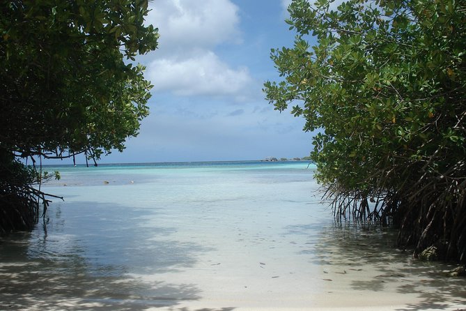 Aruba Mangel Halto and Baby Beach Snorkeling Guided Tour - Who will enjoy this tour most?
