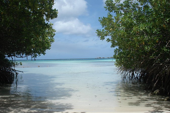 Aruba Mangel Halto and Baby Beach Snorkeling Guided Tour - Practical booking advice and cancellation terms