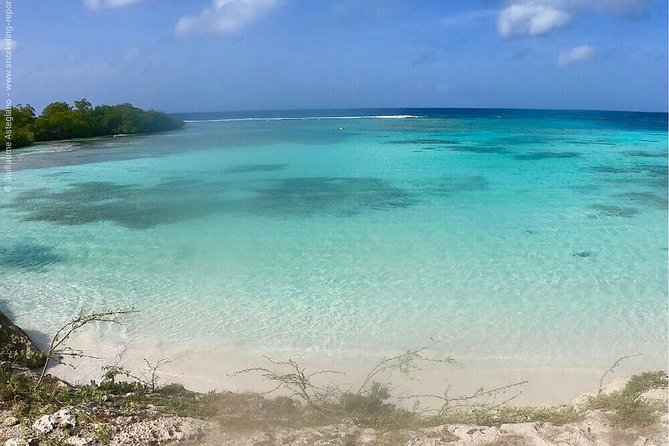 Aruba Snorkeling Tour: Mangel Halto and Baby Beach - Practical details that can save you trouble